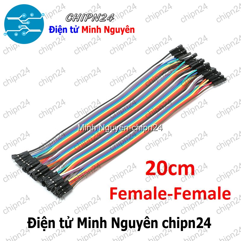 [20 sợi] (P70) Dây Cắm Test Board 20cm Cái-Cái - HH000206