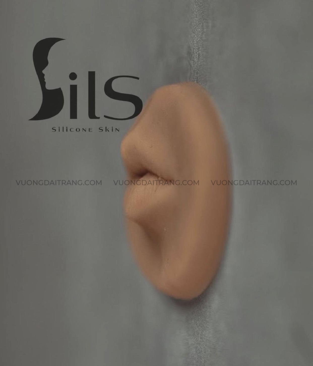 Da giả Silicon 3D LIPS