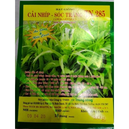 Hạt giống rau cải NHÍP - gói 10 gram