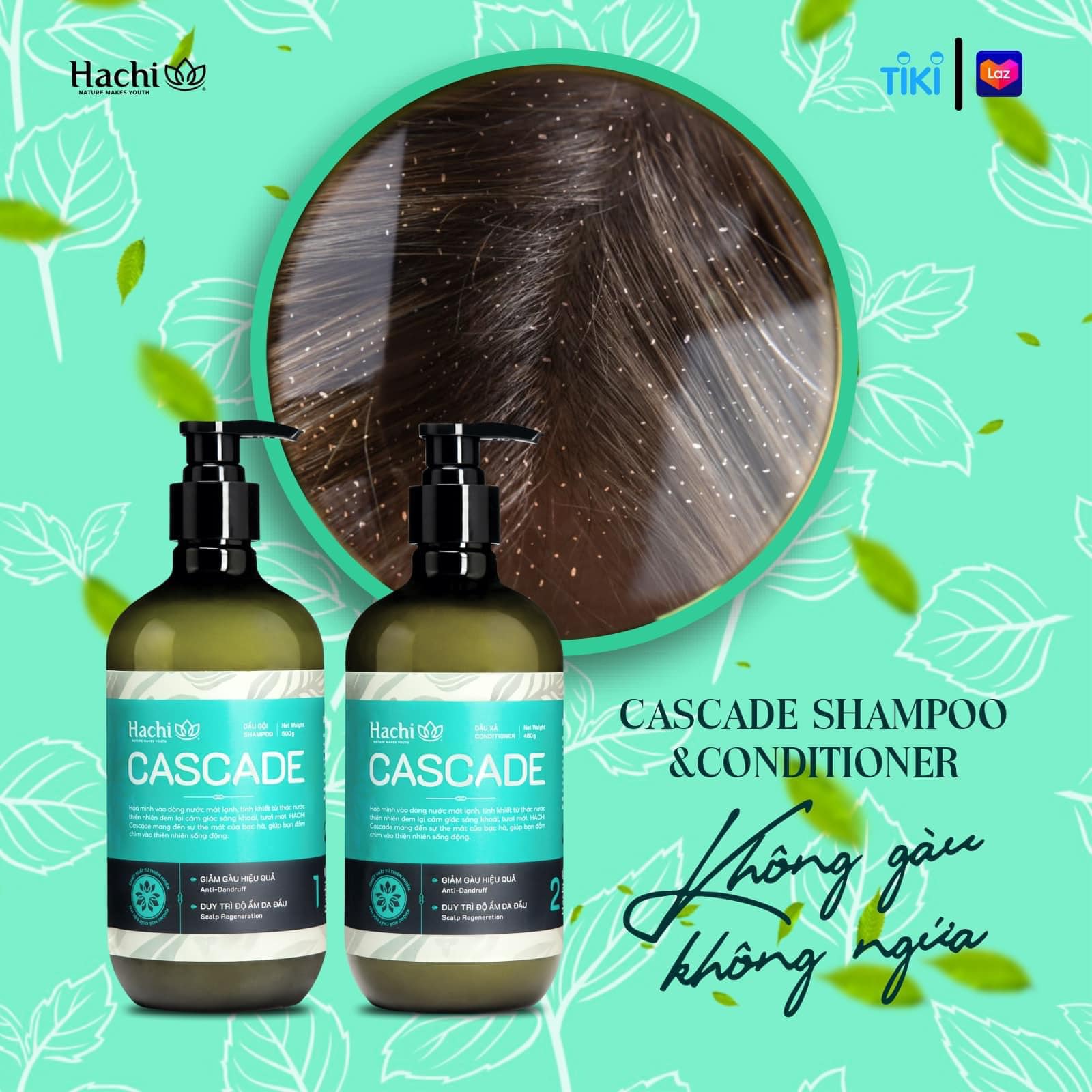 Dầu xả cao cấp olive Hachi Cascade dành cho tóc gàu