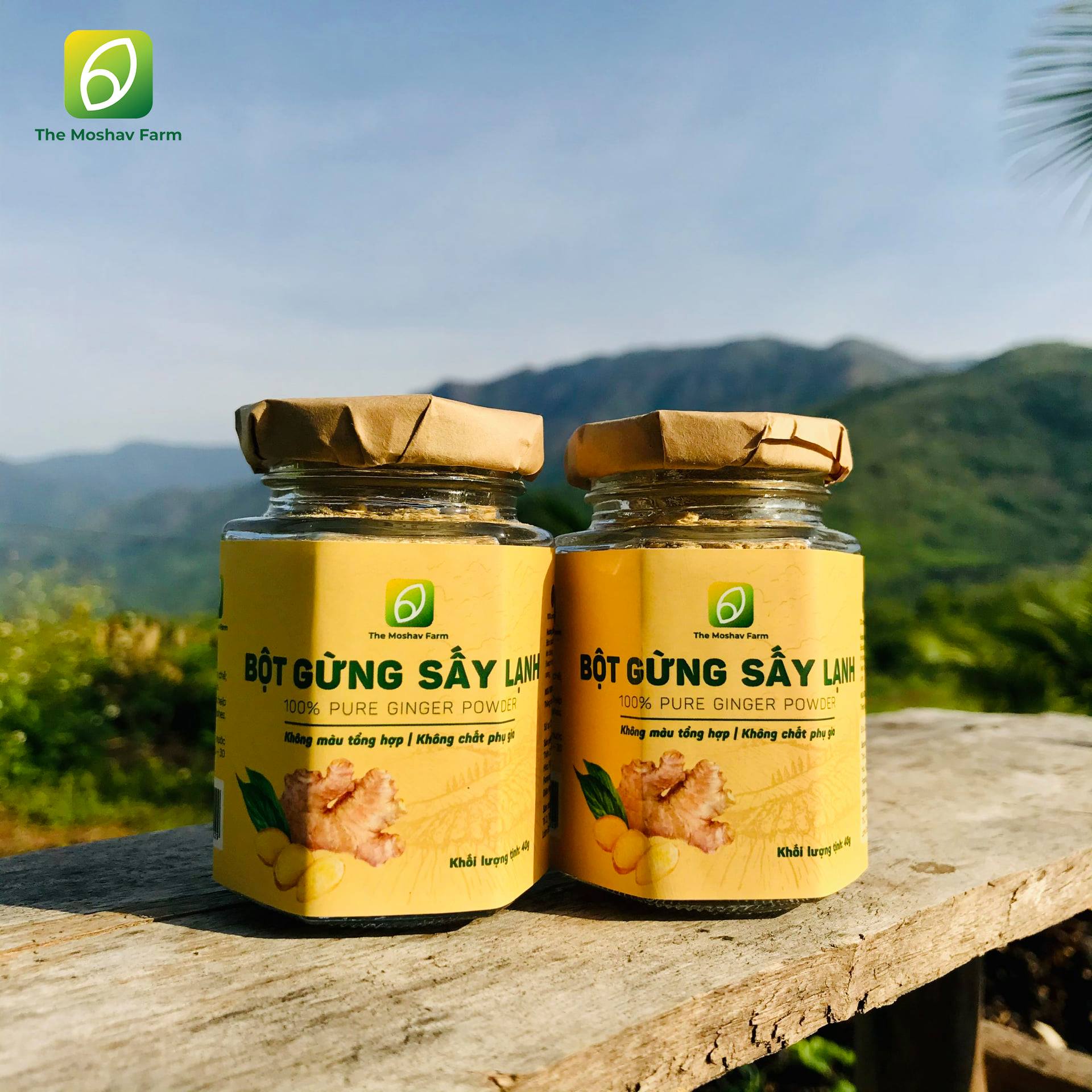 BỘT GỪNG TÚI LỌC