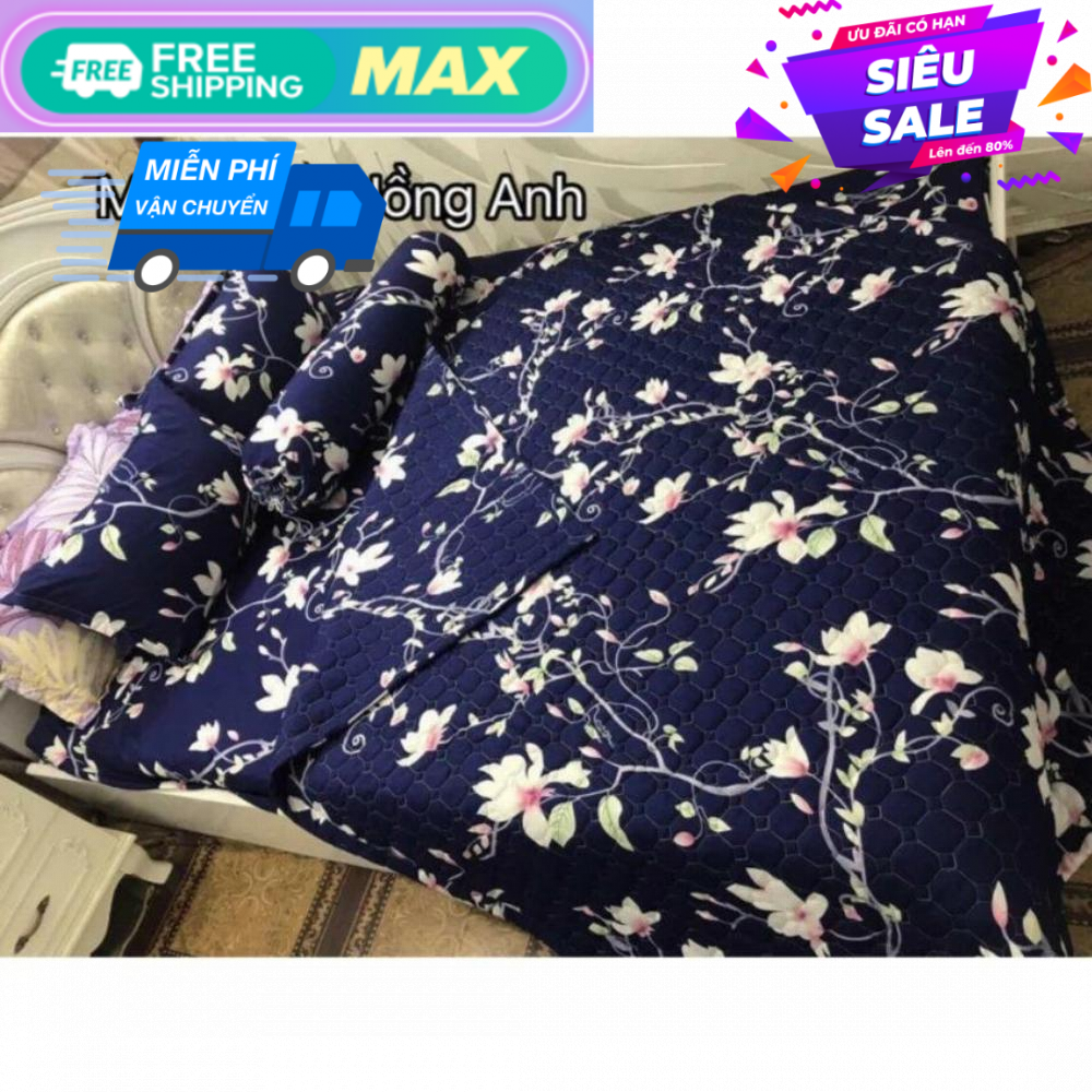 Bộ ga gối poly cotton hồng anh m6/m8 (RVT)