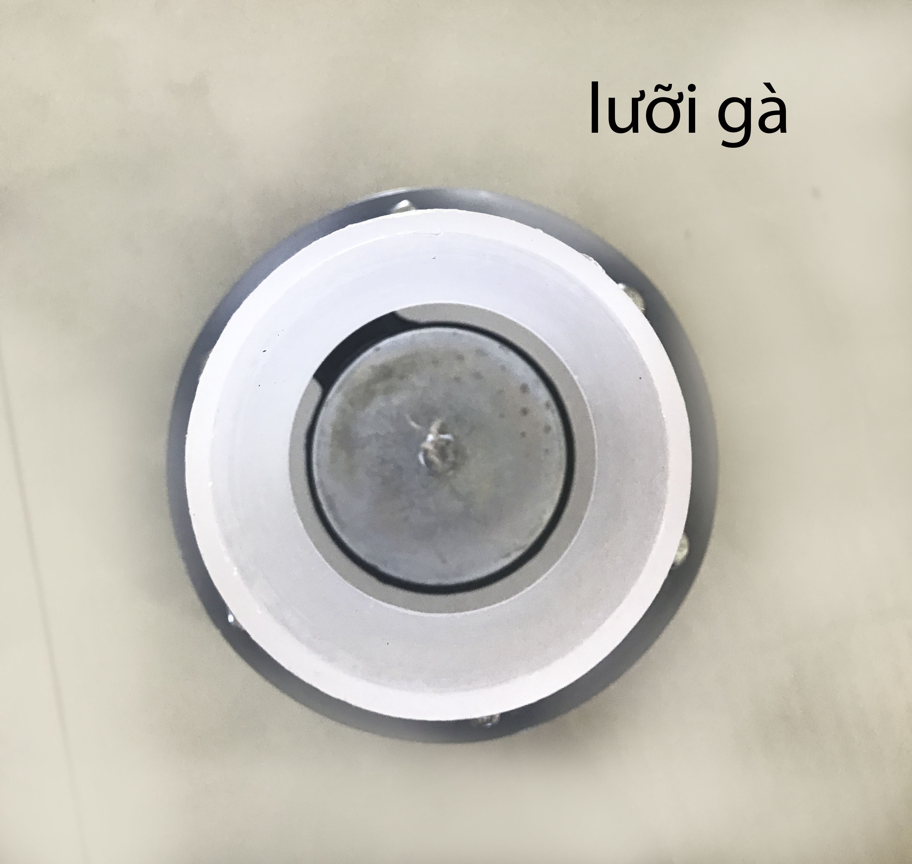 lúp pê 2 đầu (lưỡi gà) nhựa trắng trong suốt phi 50,phi 60