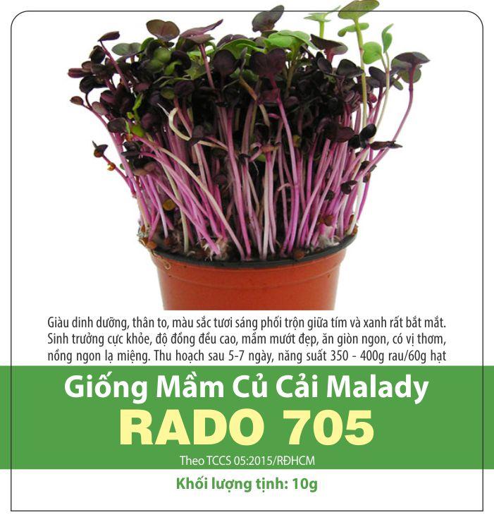 Hạt Giống Rau Mầm Củ Cải Malady Giàu Dinh Dưỡng, Sinh Trưởng Mạnh, Nhanh Thu Hoạch