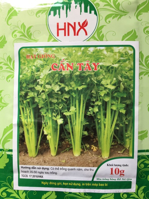 Hạt giống cần tây 5gr