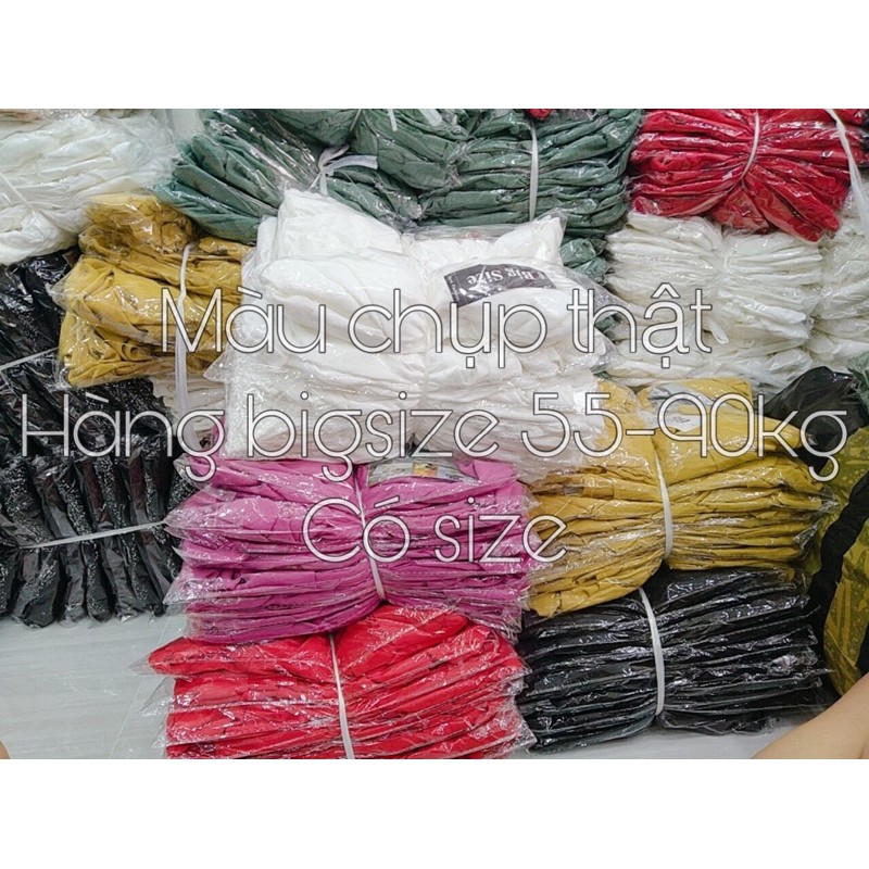 [HCM]Áo Nhún Bèo Bigsize 55-90Kg (Có Size)