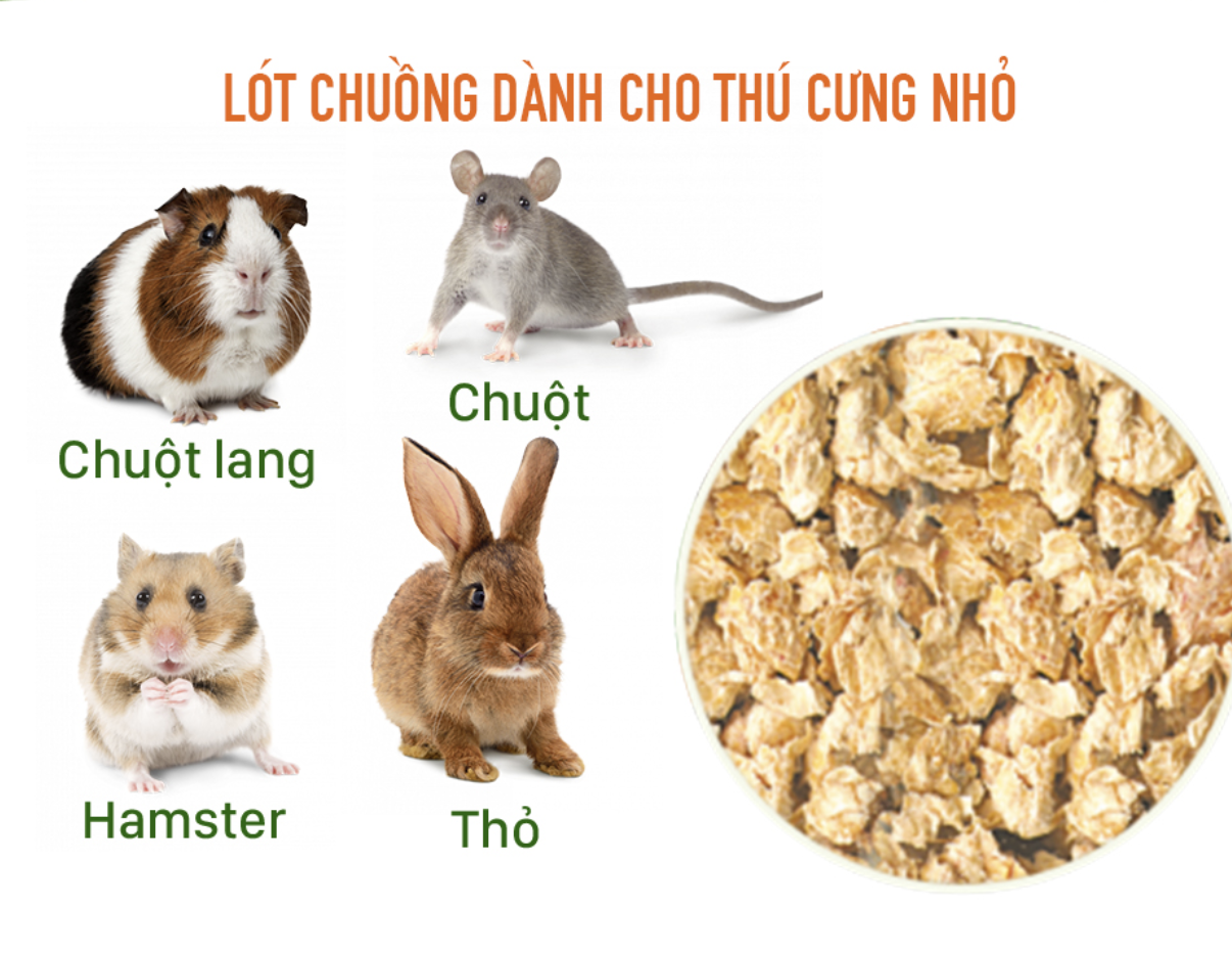 bắp chipsi Ultra 20L dành cho hamster, thỏ, bọ,... - T3 PETS SHOP