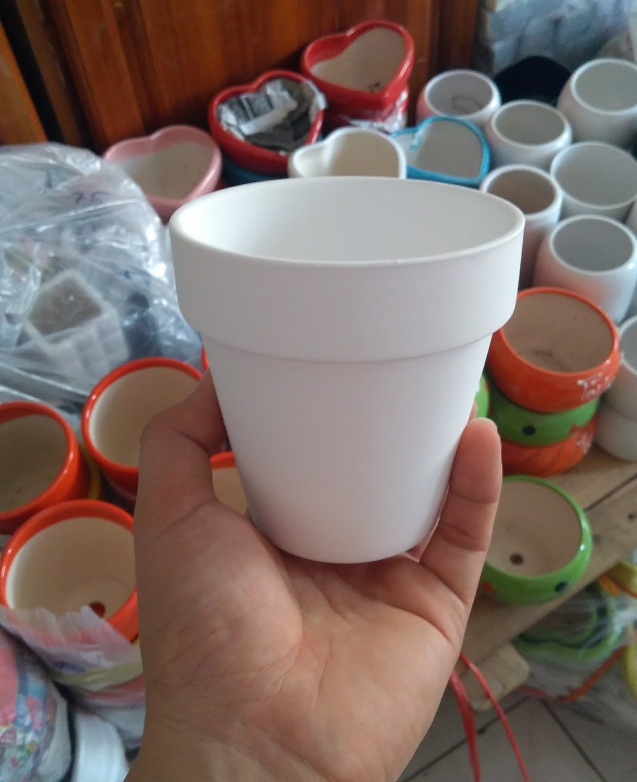 Cây ăn thịt , hoa ăn thịt , cây kẹp ruồi , cây bắt ruồi