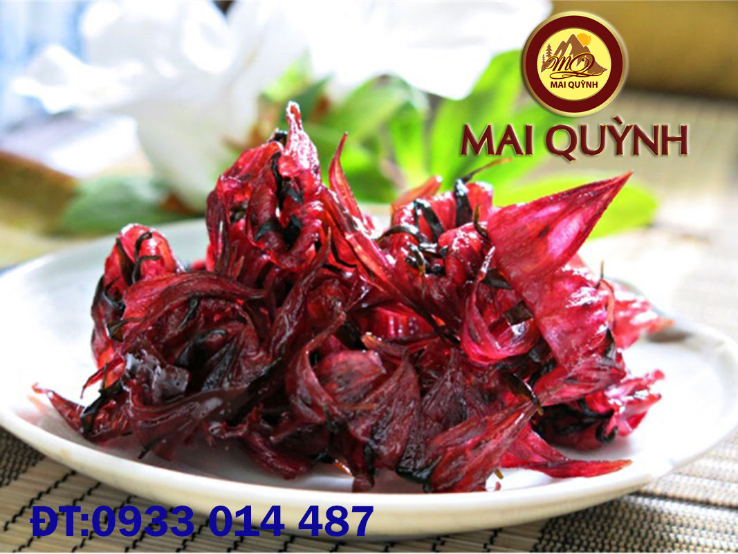 MỨC HOA ATISO ĐỎ