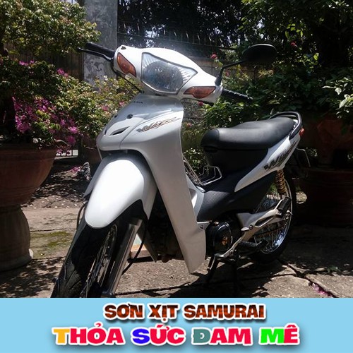 Combo sơn xịt Samurai màu trắng ngọc trai K420