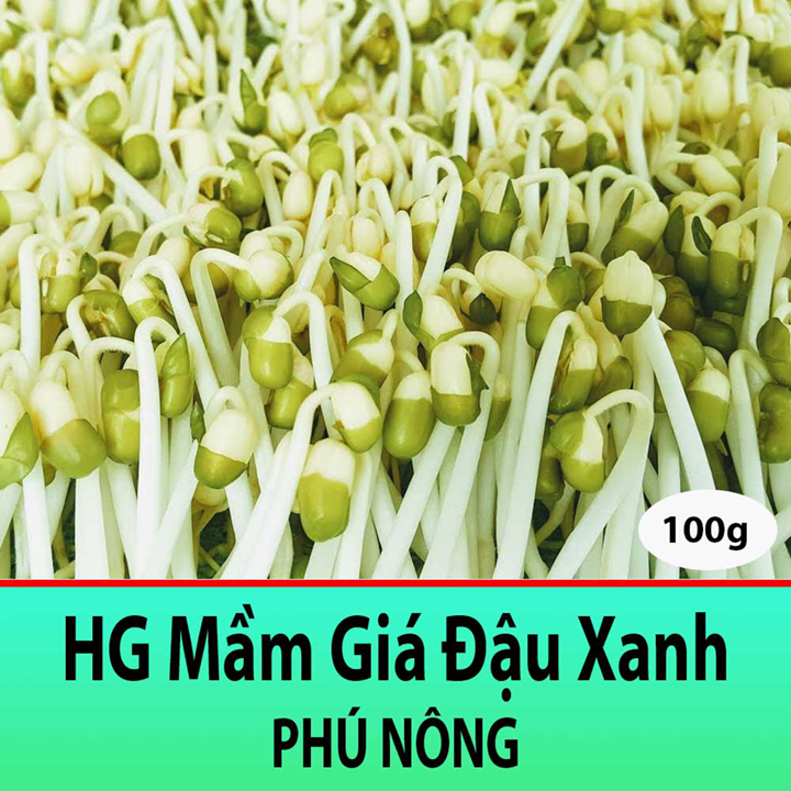 Hạt Giống Mầm Giá Đậu Xanh Dễ Trồng, Nhanh Thu Hoạch 100gr