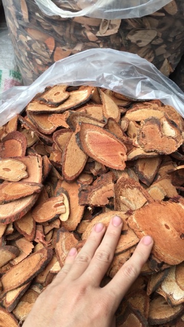 cỏ máu phơi khô nguyên vị túi 1kg