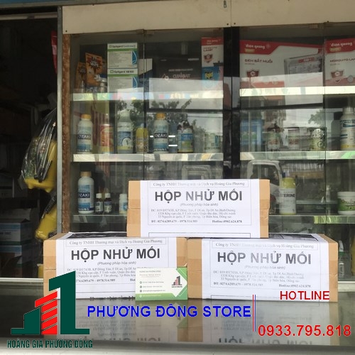Hộp nhử mối - dùng trong diệt mối tận gốc