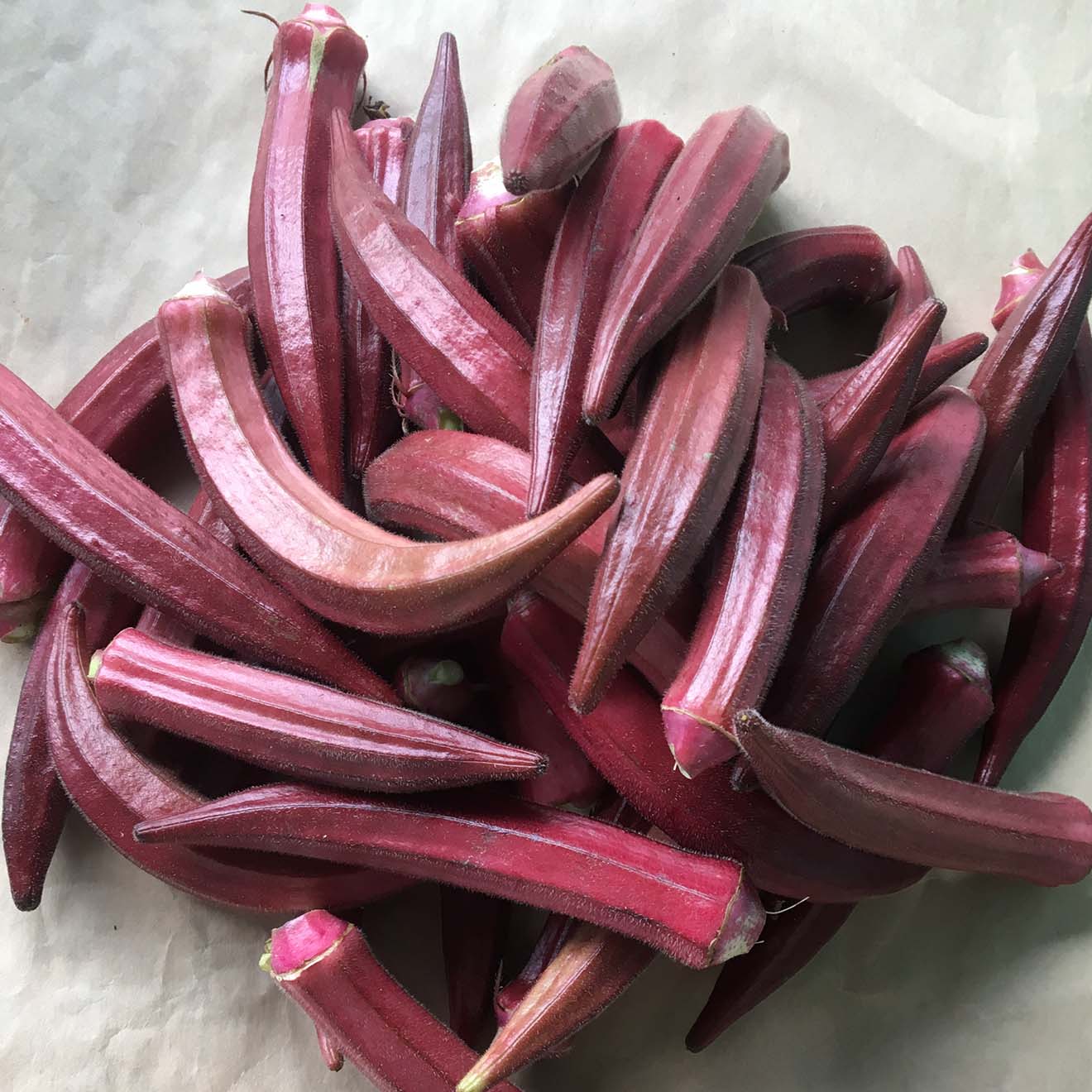 Hạt Giống Đậu Bắp Đỏ