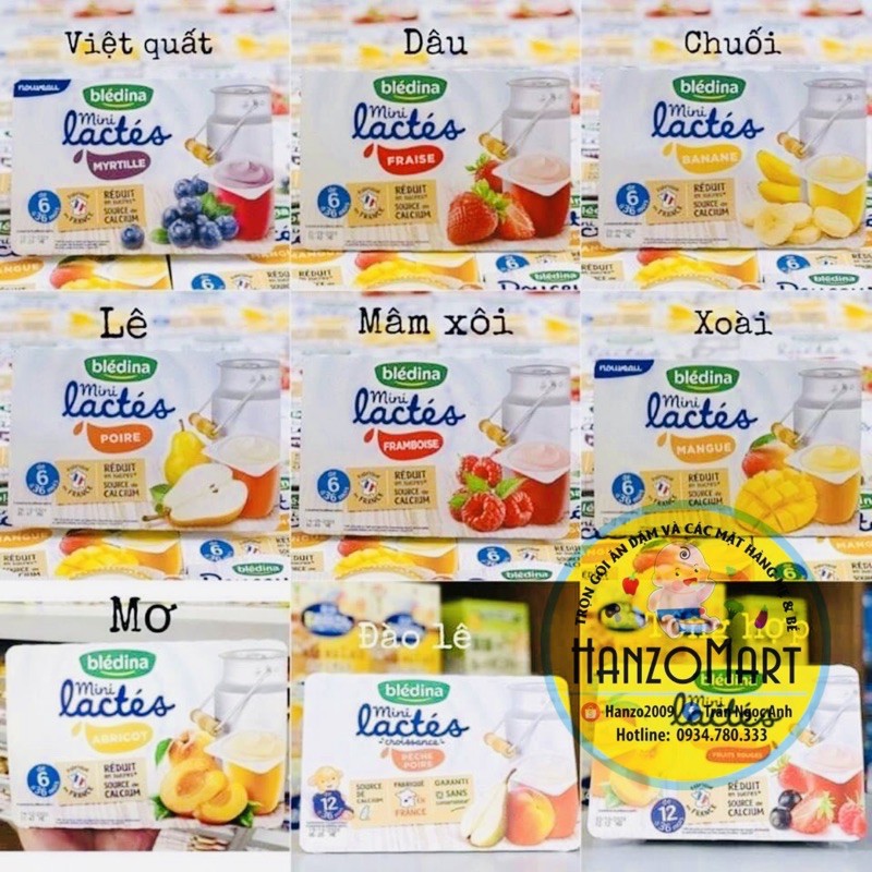 Sữa Chua Nguội Bledina Pháp Cho Bé 6M - 12M