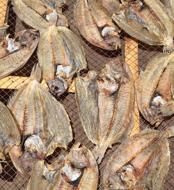 KHÔ CÁ DẢNH ( KHÔ CÁ NGỘ ) ĐẶC SẢN PHAN THIẾT- Vựa Khô Nam Thiên