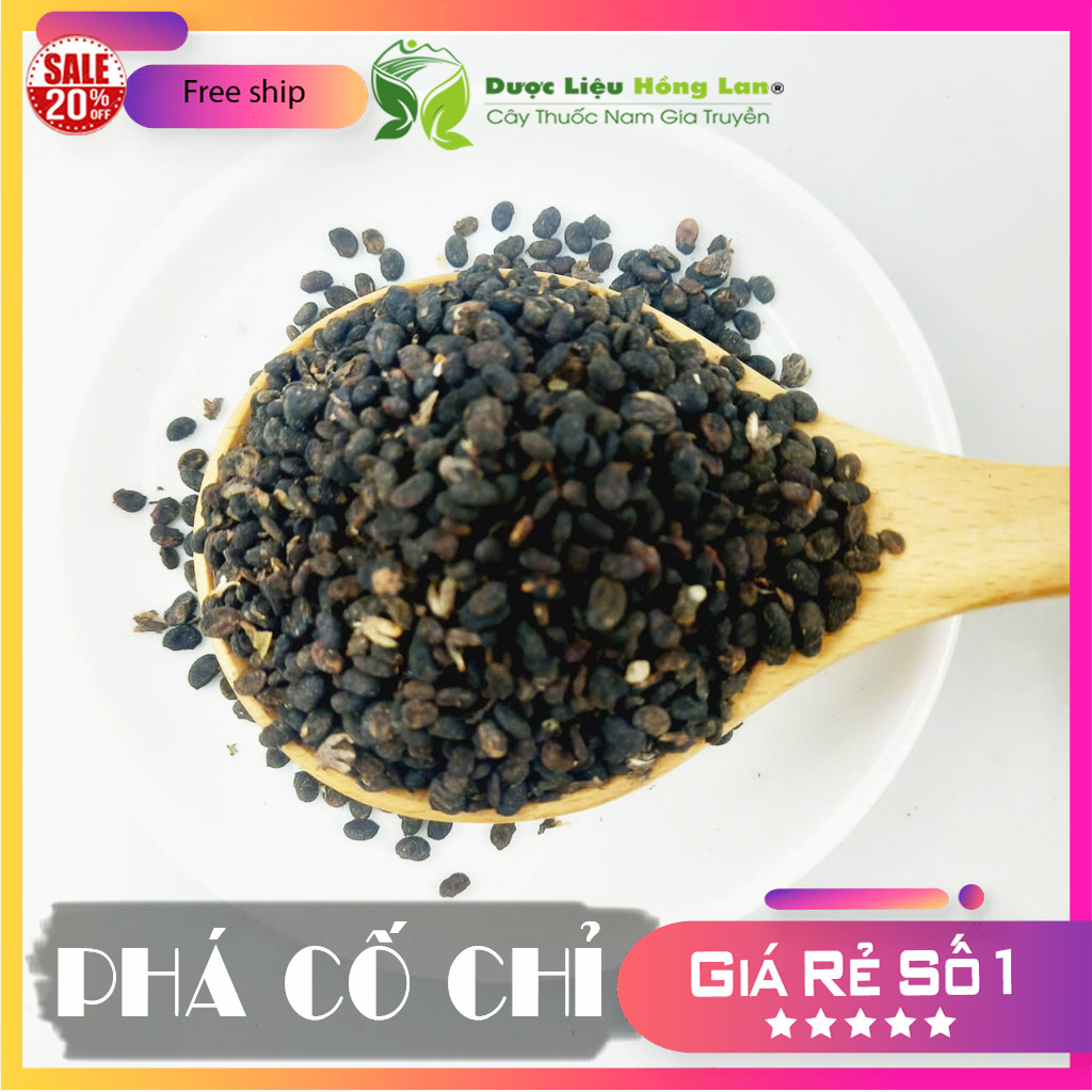 ✅[Thượng hạng] 100G Phá Cố Chỉ (Bổ Cốt Chỉ) khô sạch loại 1