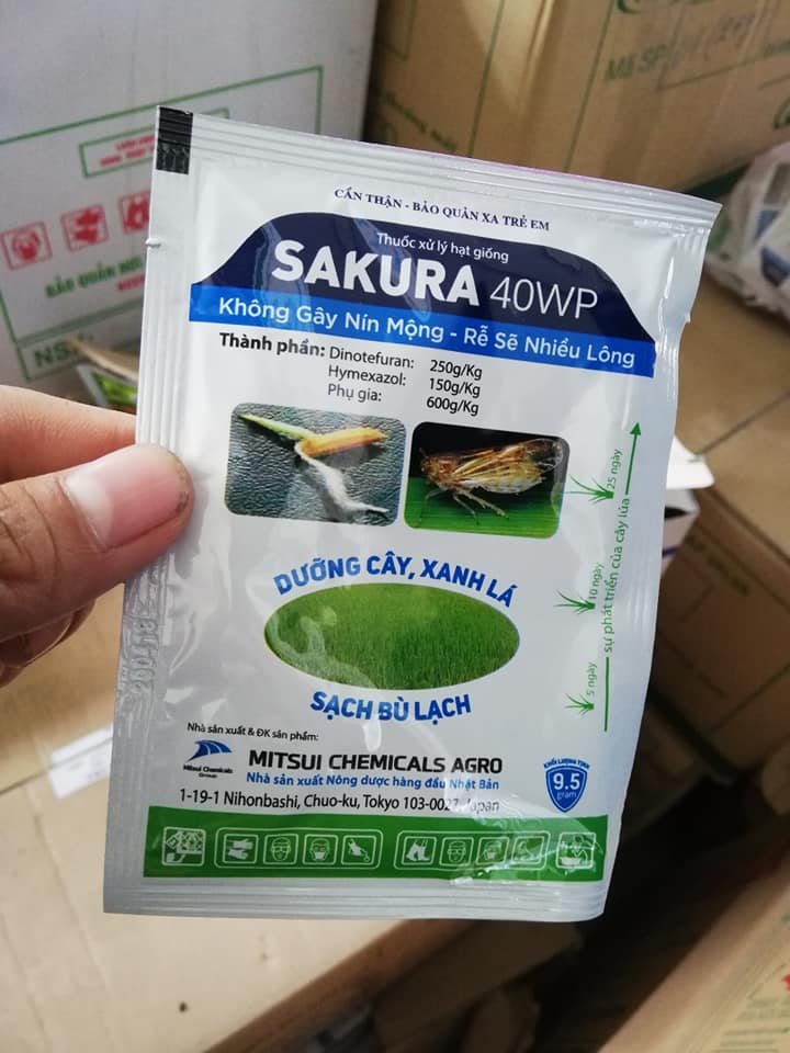 Sakura 40WP - Xử lý hạt giống