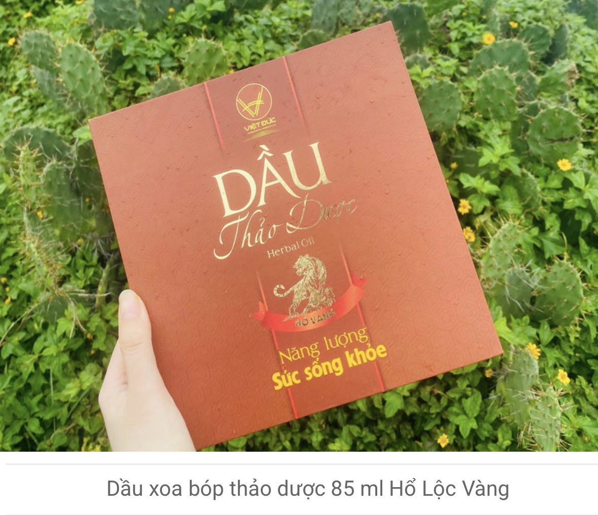 Dầu xoa bóp thảo dược (85 ml hổ lộc vàng)