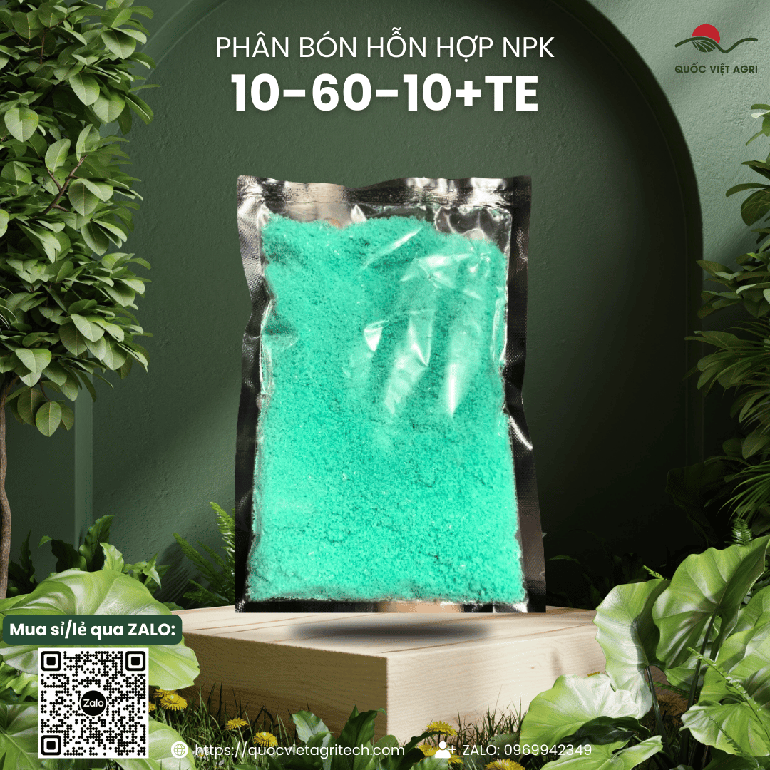 Phân bón hỗn hợp NPK QVA 10-60-10+TE (hộp 1KG)
