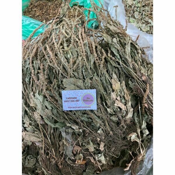 500g bông mã đề khô