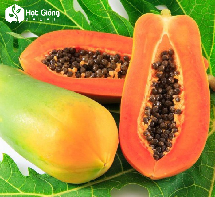 [Giao nội thành HCM] Đu đủ ruột đỏ giống Đài Loan - 1Kg
