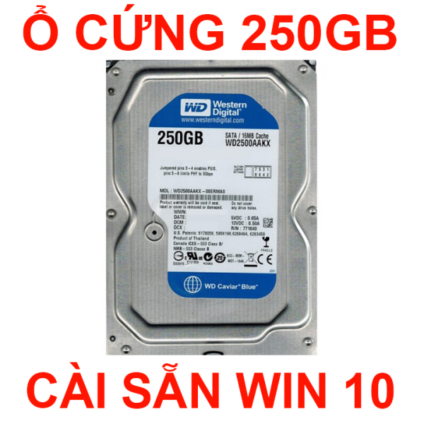 Bảng giá Ổ cứng máy tính HDD WD 250GB Sata hỗ trợ cài win 10 bảo hành 2 năm Phong Vũ