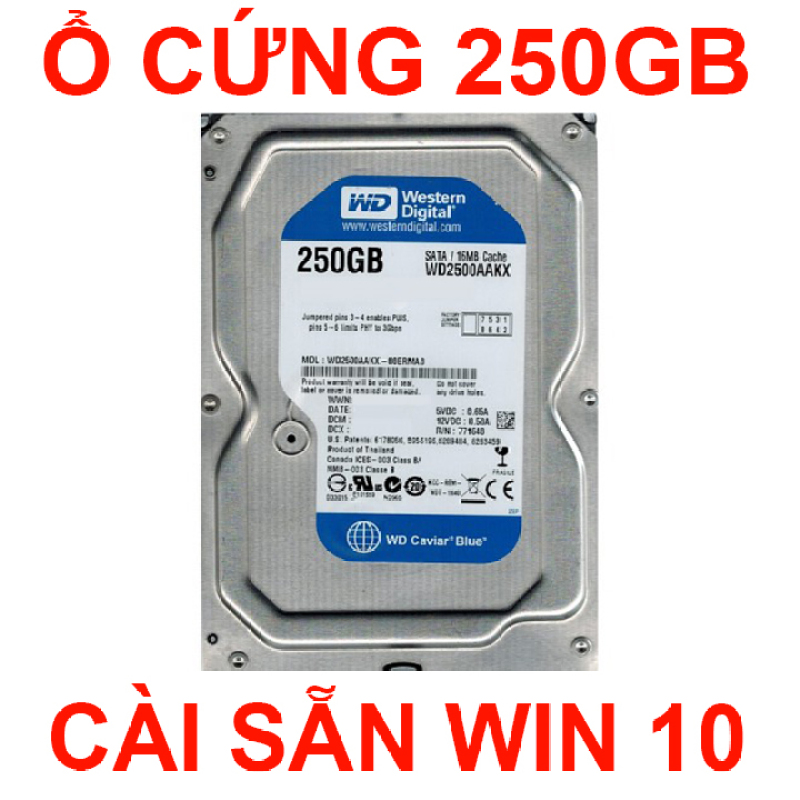 Bảng giá [Kho bãi nội địa nhật] Ổ cứng máy tính HDD WD 250GB Sata hỗ trợ cài win 10 bảo hành 2 năm Phong Vũ