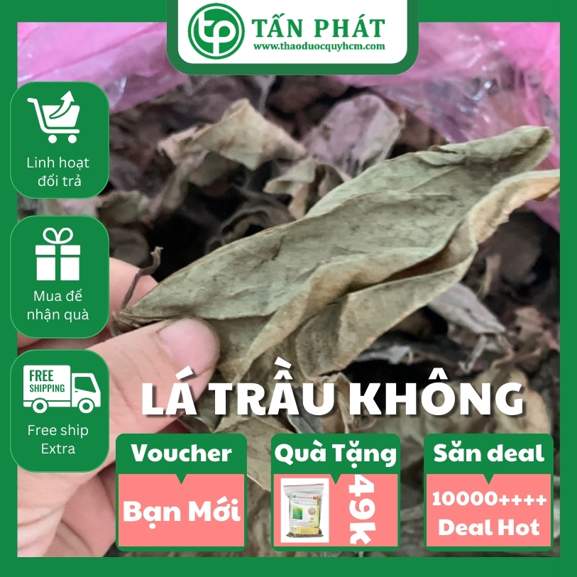 Lá trầu không sấy khô 1kg - Thảo Dược Tấn Phát - Hàng công ty chất lượng cao