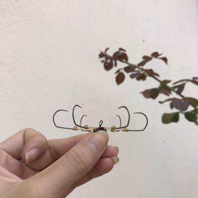 Lưỡi câu lục rẻ