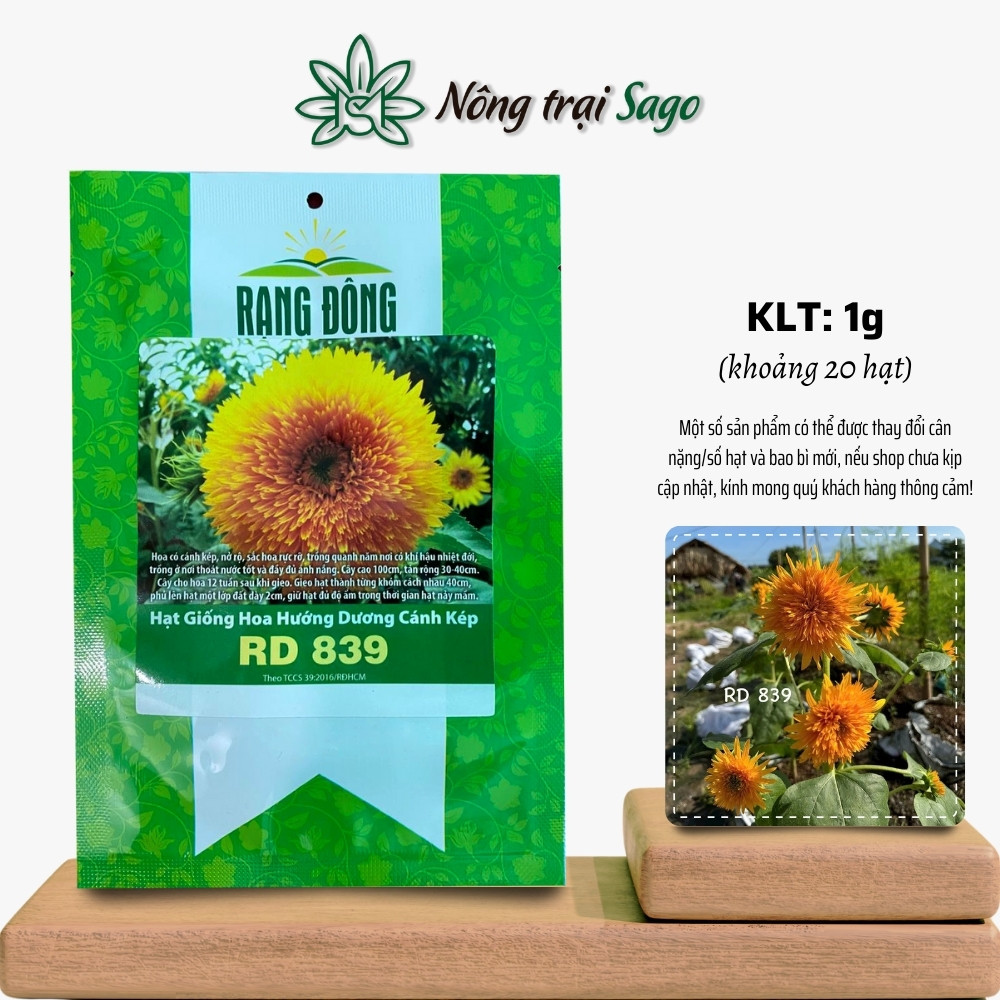 Hạt giống Hoa Hướng Dương thân cao, nhiều màu sắc, có thể cắt cành, trồng quanh năm, hiệu Hạt giống Rạng Đông - Nông Trại Sago