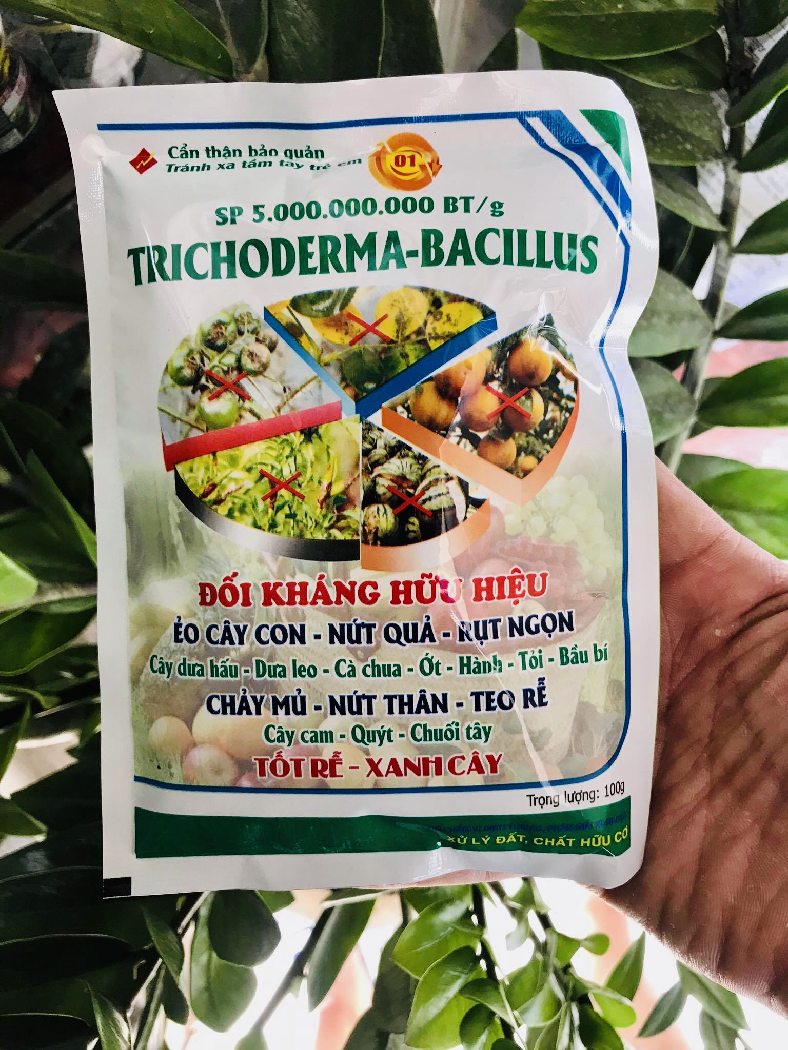 Nấm đối kháng TRICHODERMA-BACILLUS (100g)