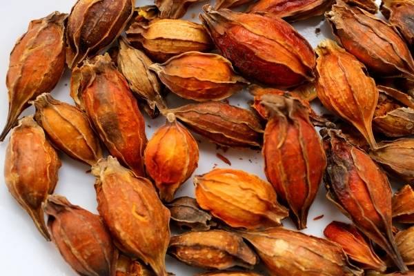 Bột Dành Dành gói 50gr _Hương vị Chợ Quê