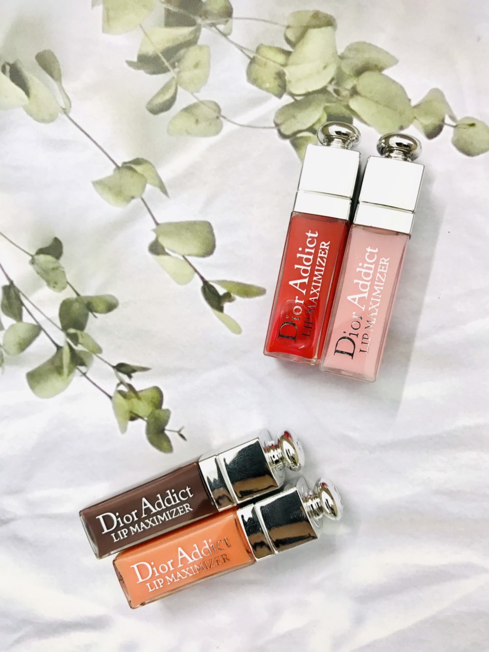 Son dưỡng môi MINI Dior Addict Lip Maximizer-ZEN AUTHETICS