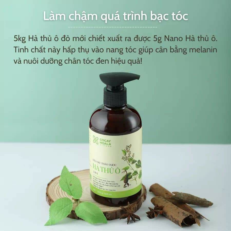 Dầu gội thảo dược Hà Thủ Ô 2in 1