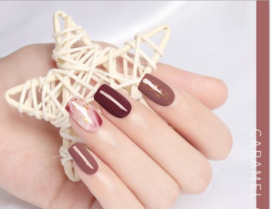 Sơn gel AS lẻ màu nâu chocolate set 12 mã KF