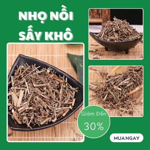 Cây nhọ nồi (cỏ mực) sấy khô 1kg - Tấn phát - Hàng công ty chất lượng cao