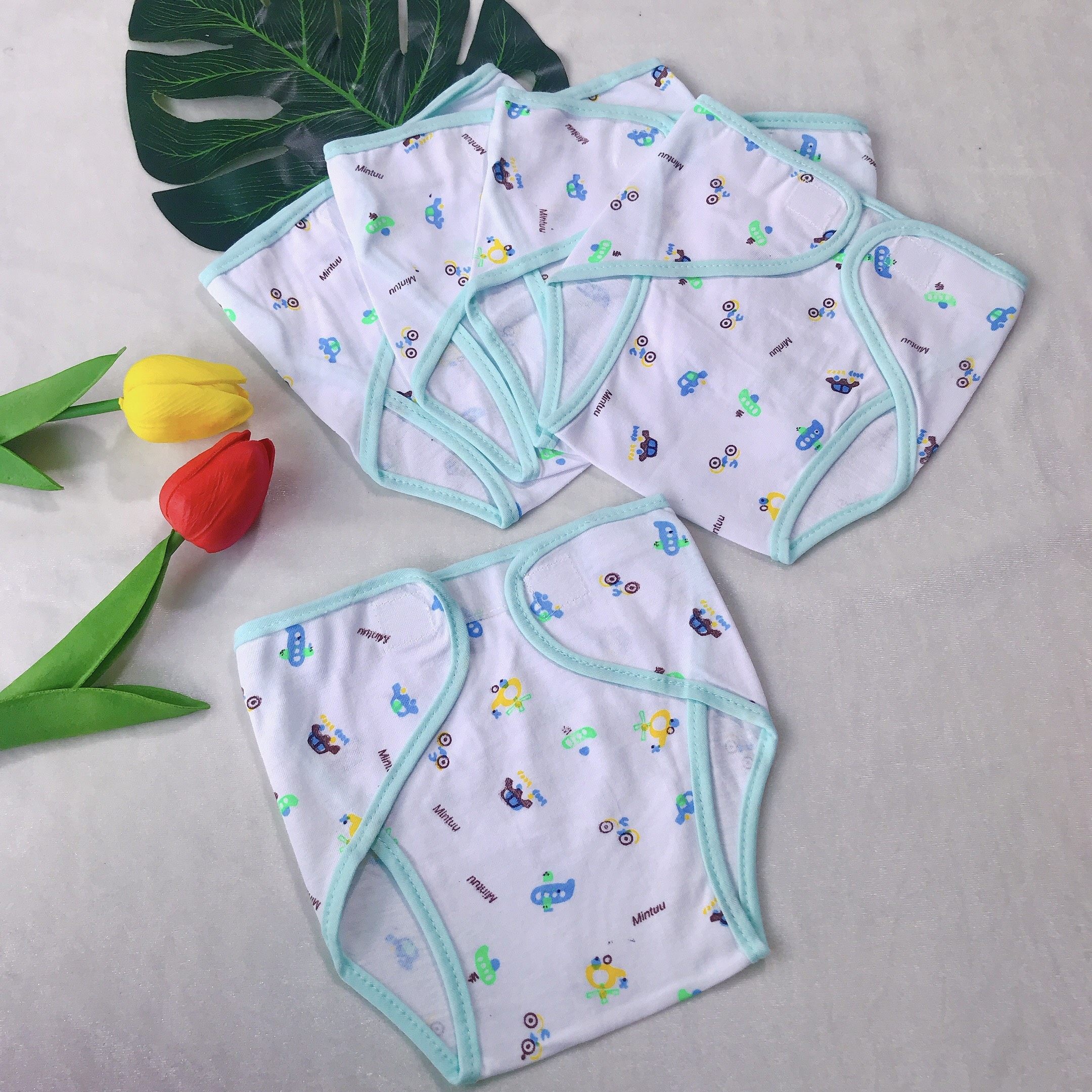 Set 5 Tã Vải Dán /Tã Quần Đóng Bỉm Sơ Sinh Mintuu (3-9kg)
