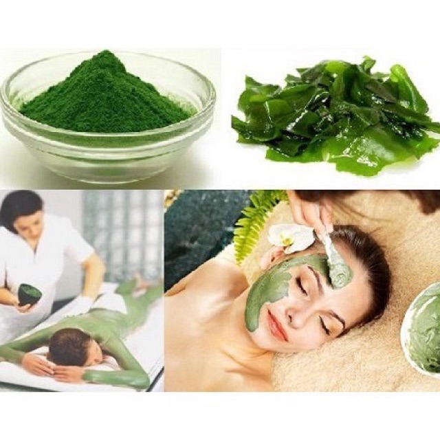 Ủ Tảo Xoắn Alota Huyền Phi