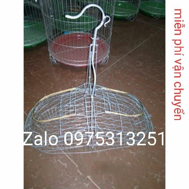 Lồng lụp bẫy chim chào mào choè mi khướu