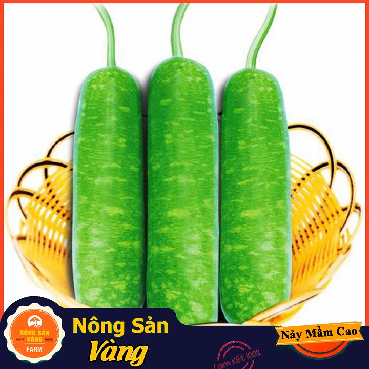Monolithic beads gourd seeds (pack of 10 seeds)-shallow yellow