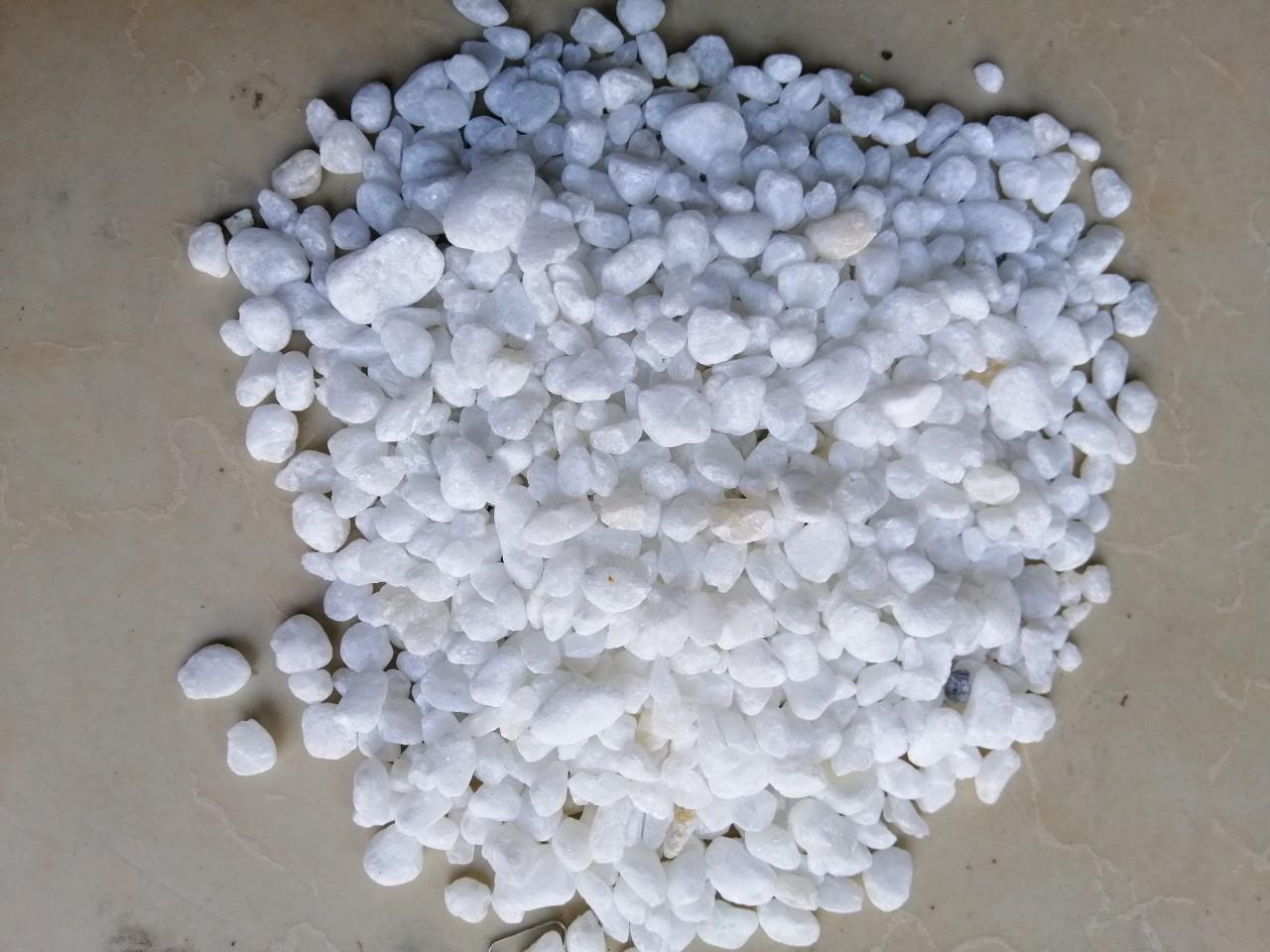 Combo 3kg sỏi trắng viên nhỏ