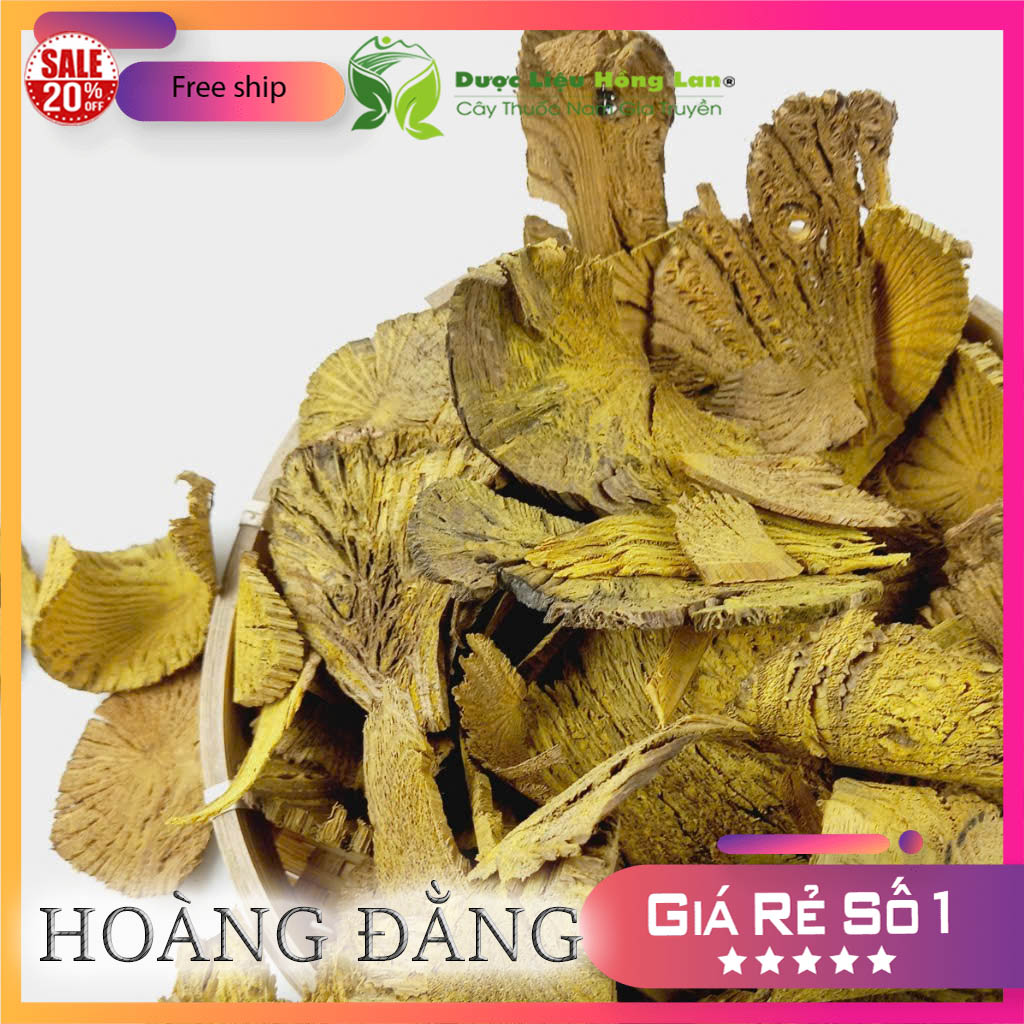 [FreeshipMAX] Combo 2kg Hoàng Đằng khô - duoclieuhonglan