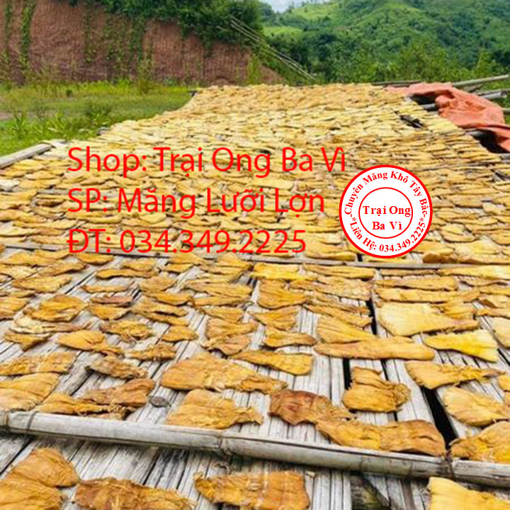 Măng lưỡi lợn rừng tây bắc non ngon phơi khô đều đẹp 500 gam
