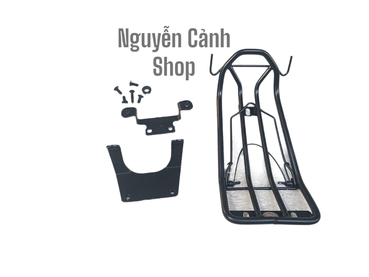 Baga sơn tĩnh điện giữa xe yamaha pg1