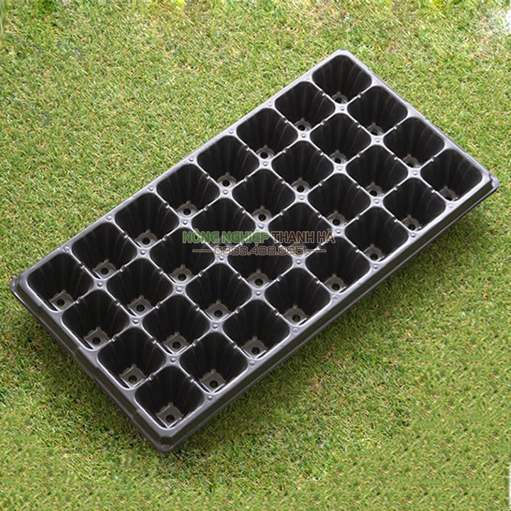 5 Khay nhựa ươm cây 50 lỗ