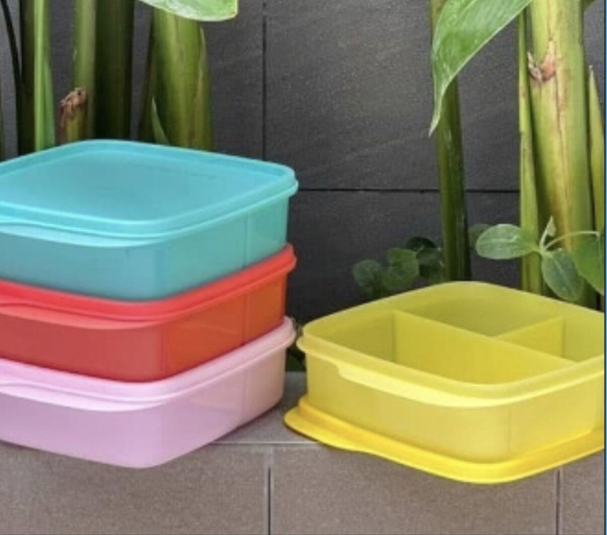 Hộp cơm Tupperware Lolly Tup 550ml