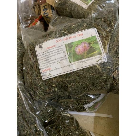 Cây xấu hổ khô