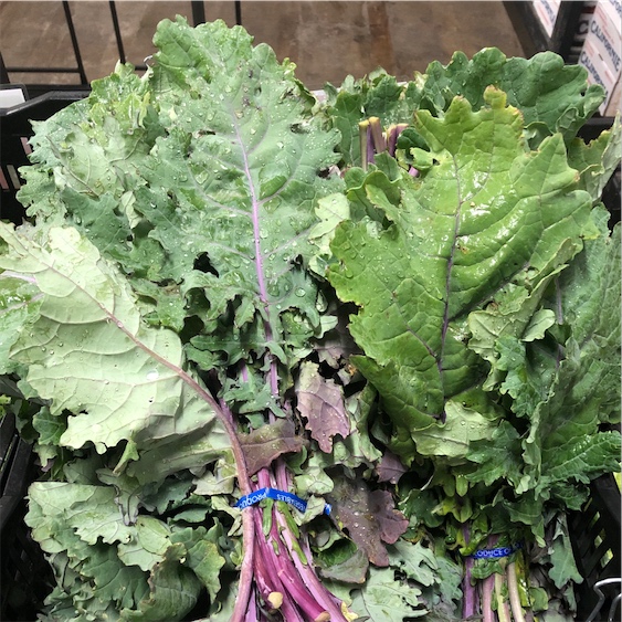 1g Hạt giống cải kale tím