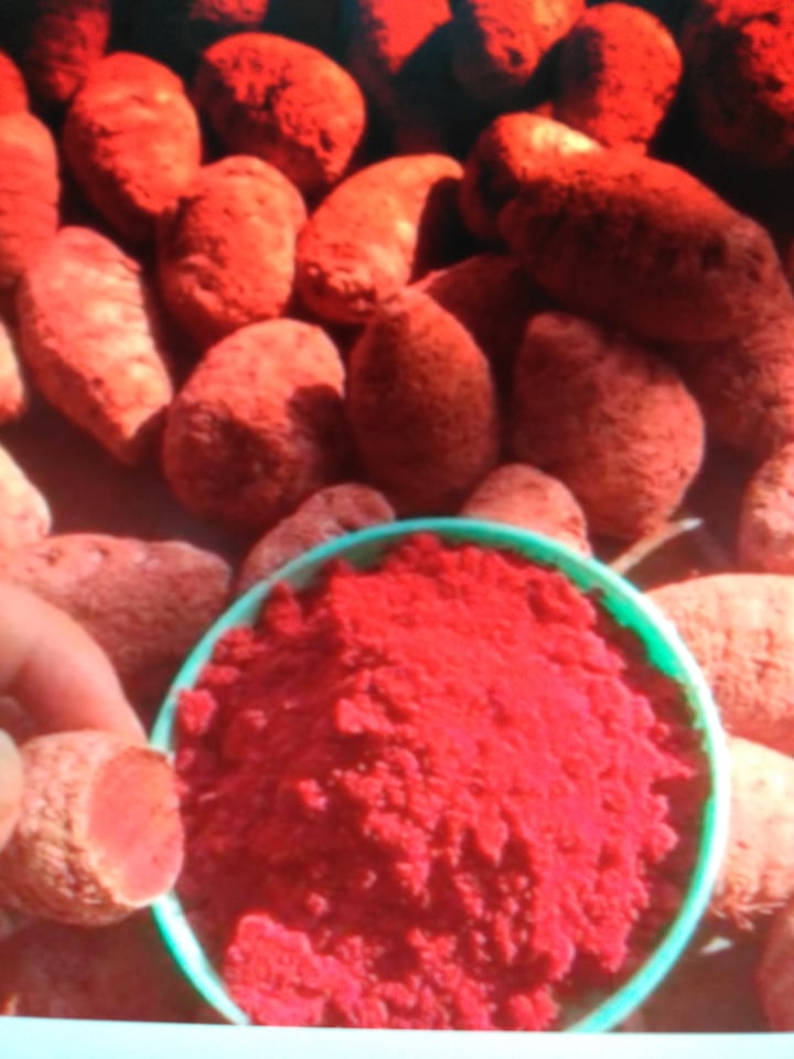 Nghệ đỏ sài gòn lọ 500g